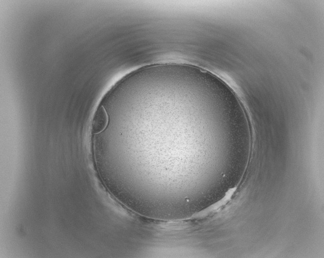 X0000116791008200912241158