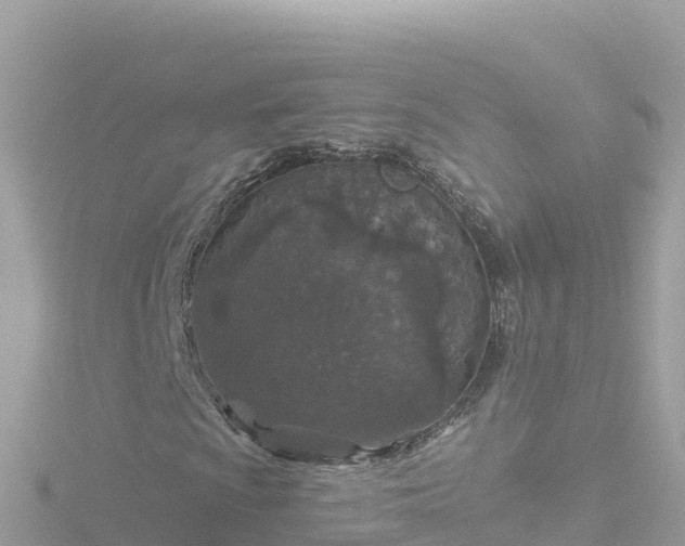 X0000116791009200912241158