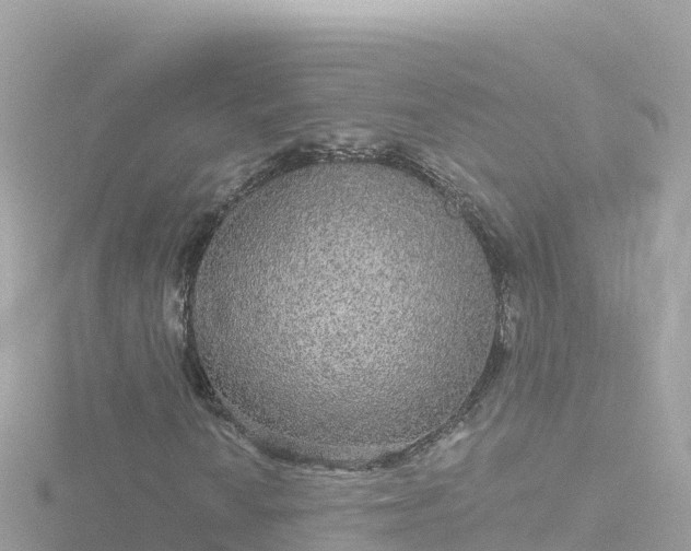 X0000116791010200912241158