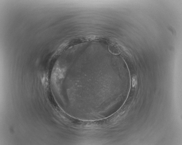 X0000116791011200912241158