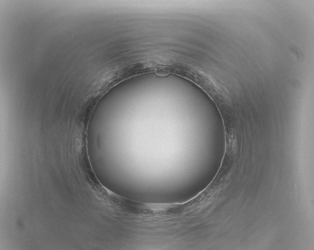 X0000116791012200912241158