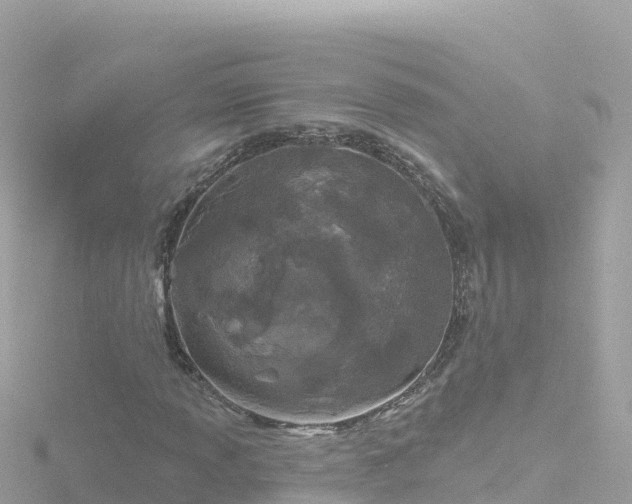 X0000116791013200912241158