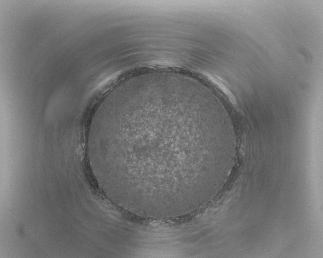 X0000116791015200912241158