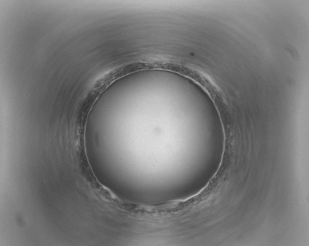 X0000116791016200912241158