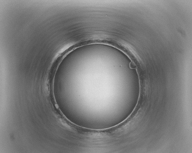 X0000116791018200912241158