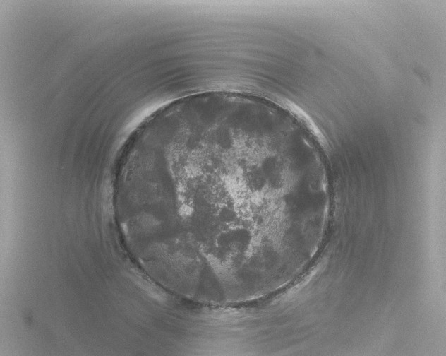 X0000116791019200912241158