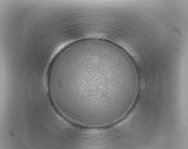 X0000116791022200912241158