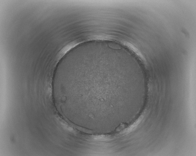 X0000116791025200912241158