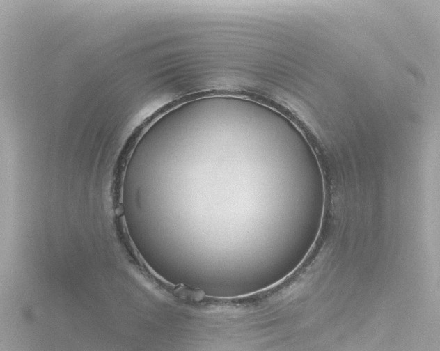 X0000116791026200912241158