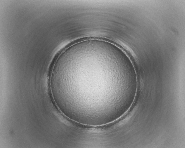 X0000116791029200912241158