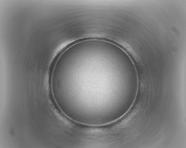 X0000116791030200912241158