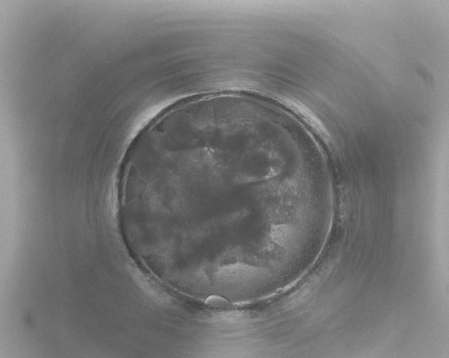 X0000116791031200912241158