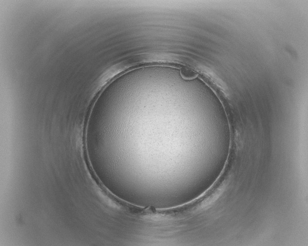 X0000116791033200912241158