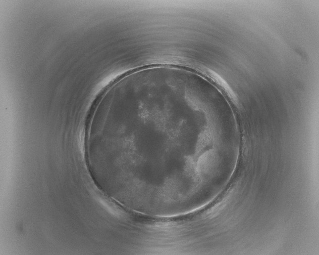 X0000116791035200912241158