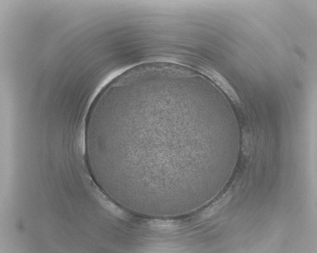 X0000116791036200912241158