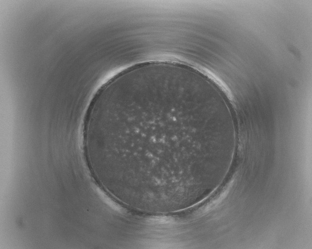 X0000116791037200912241158