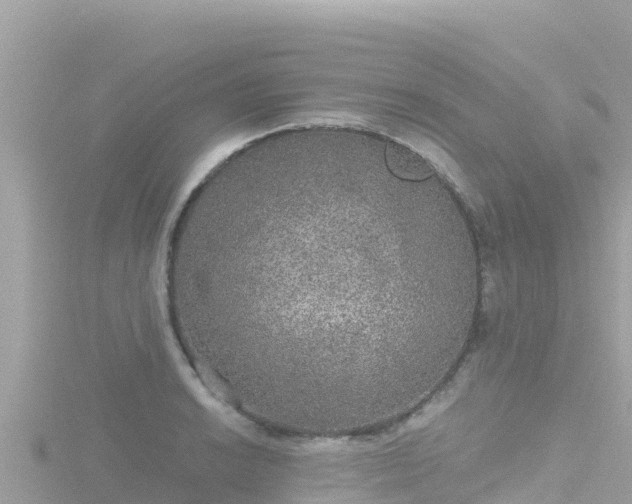 X0000116791038200912241158