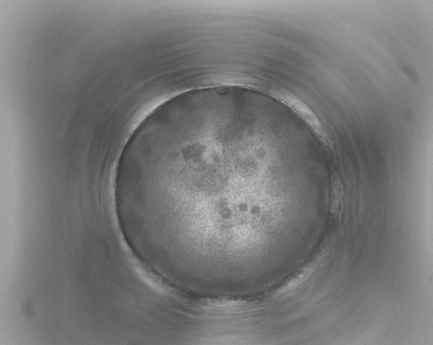 X0000116791039200912241158