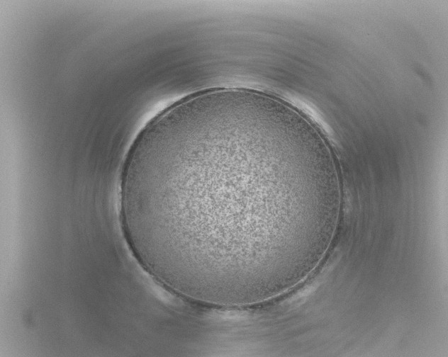 X0000116791040200912241158