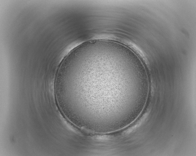 X0000116791041200912241158