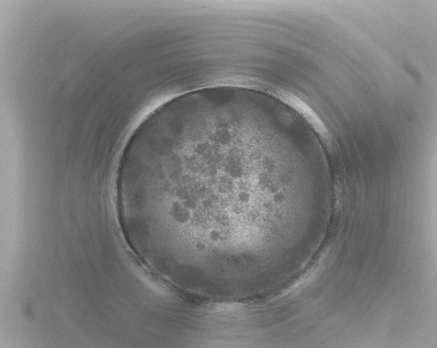 X0000116791043200912241158