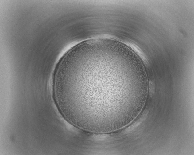 X0000116791046200912241158