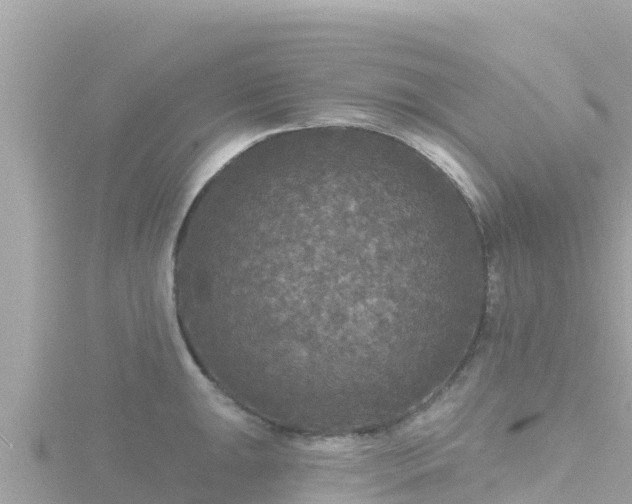 X0000116791047200912241158