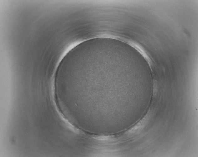 X0000116791048200912241158