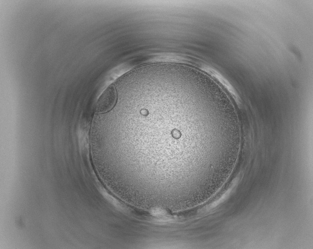 X0000116791049200912241158