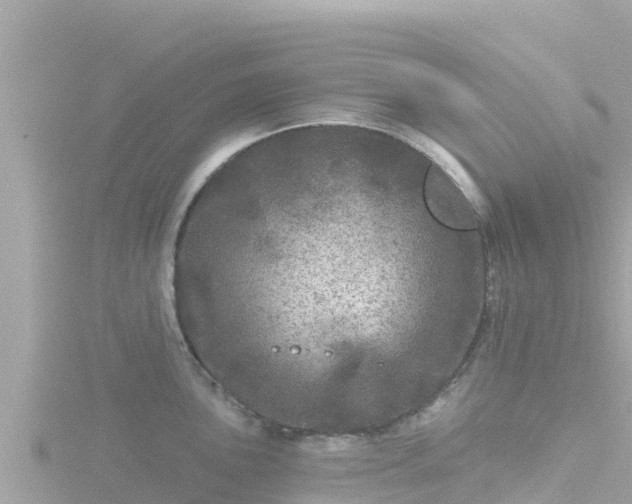 X0000116791051200912241158