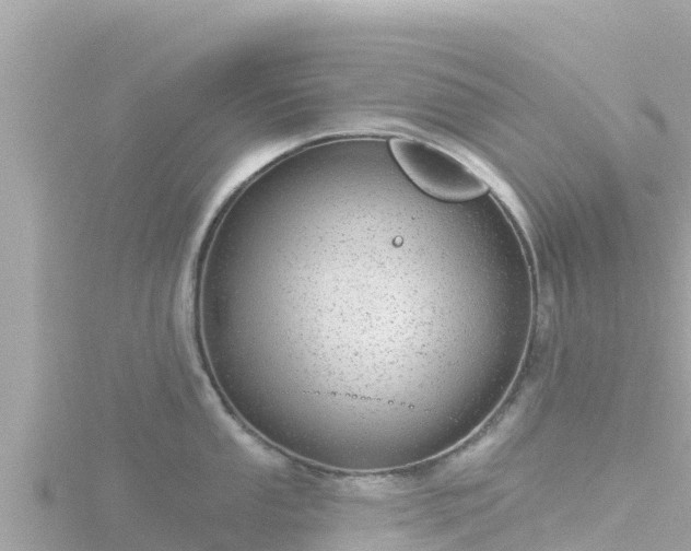 X0000116791053200912241158