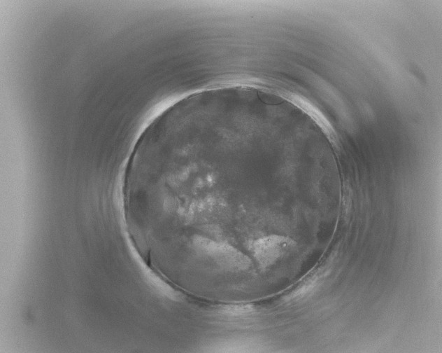 X0000116791055200912241158