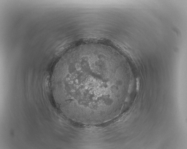 X0000116791059200912241158