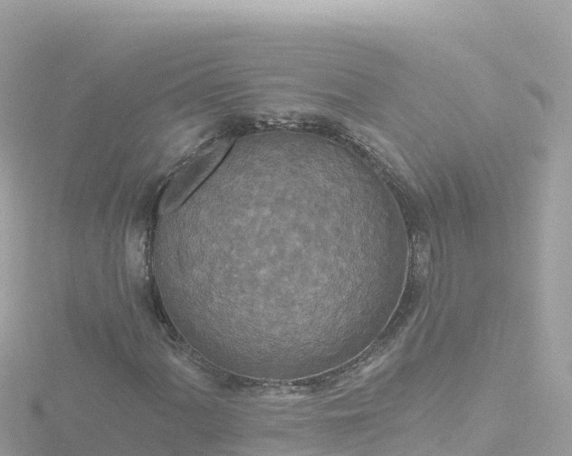 X0000116791060200912241157