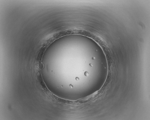 X0000116791062200912241157