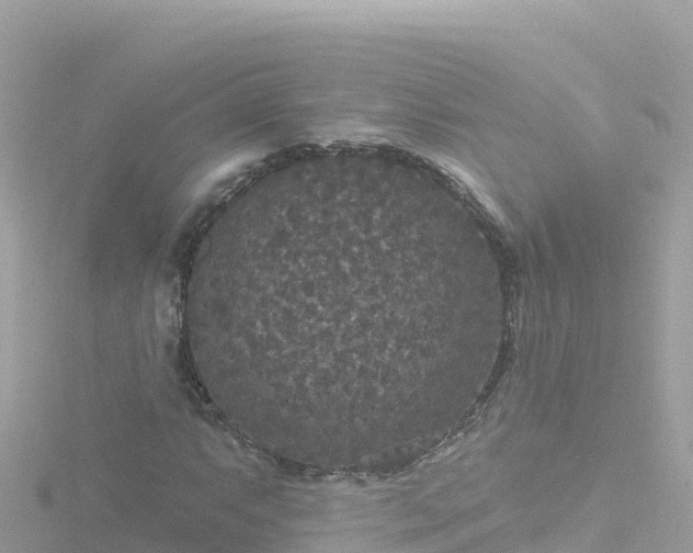 X0000116791063200912241157