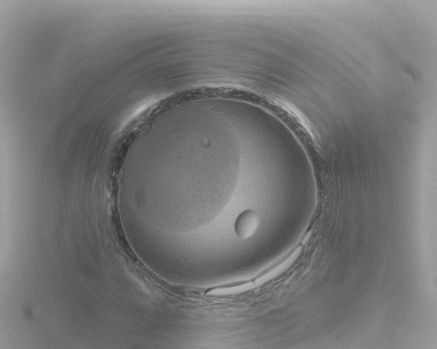 X0000116791064200912241157