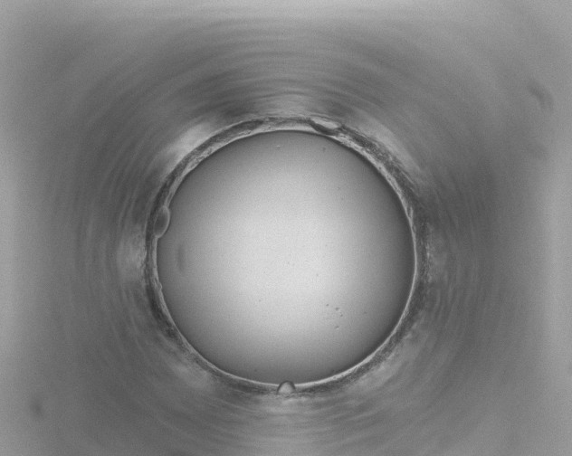 X0000116791065200912241157