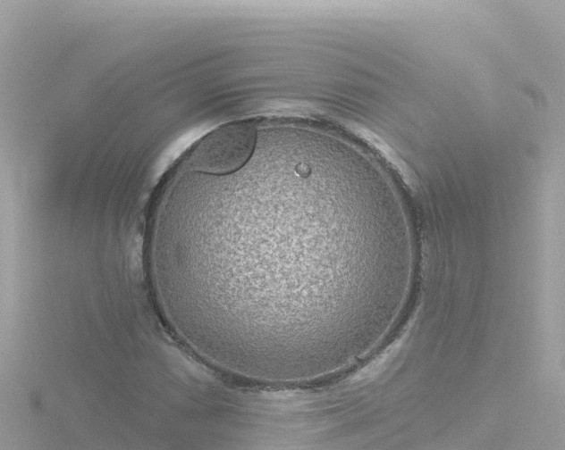 X0000116791066200912241157