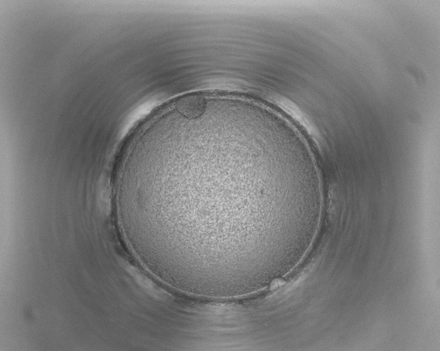 X0000116791067200912241157