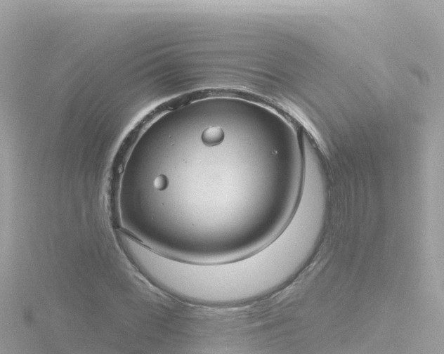 X0000116791068200912241157