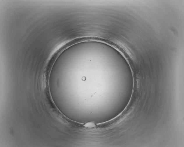 X0000116791069200912241157