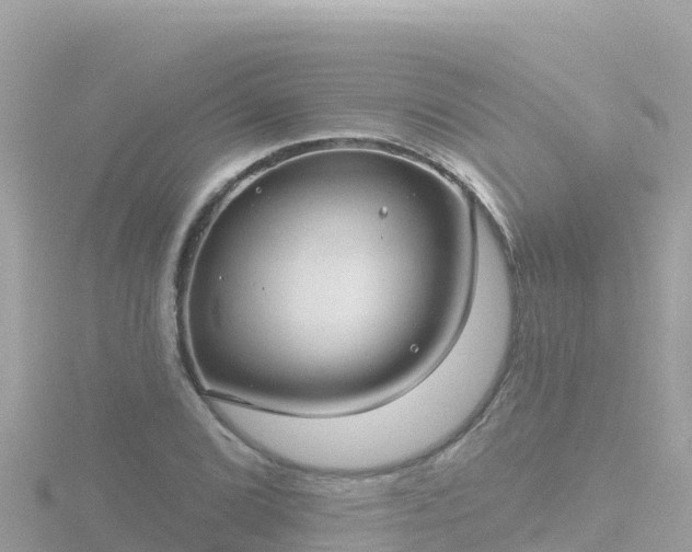 X0000116791072200912241157