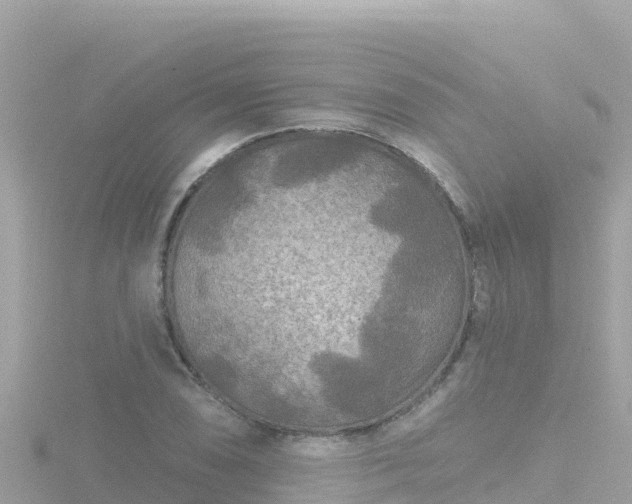 X0000116791074200912241157