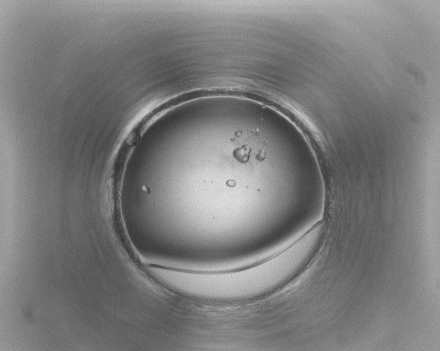 X0000116791075200912241157