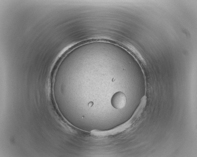 X0000116791076200912241157