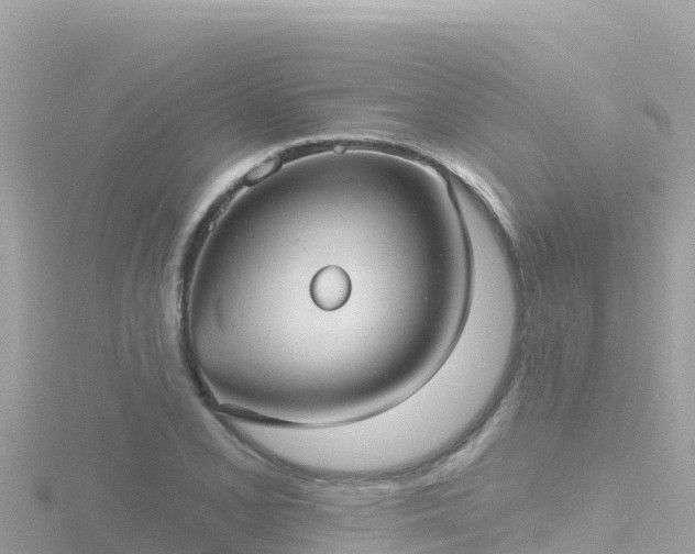 X0000116791077200912241157