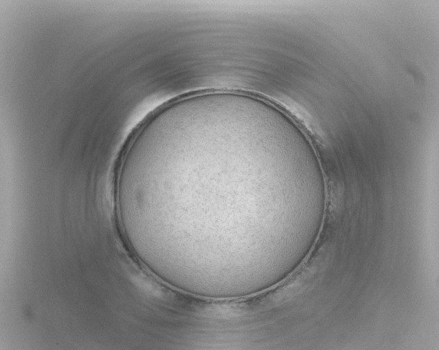 X0000116791078200912241157