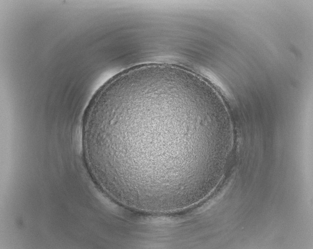 X0000116791079200912241157