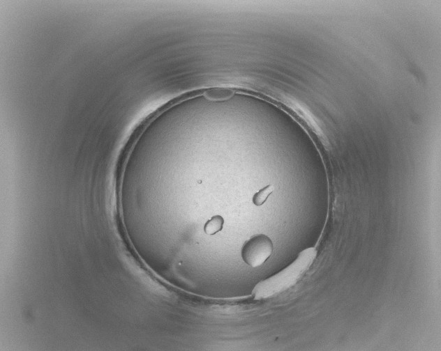 X0000116791080200912241157